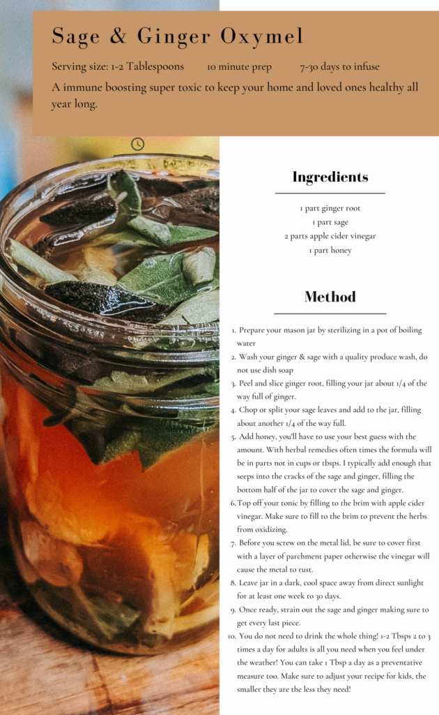 Sage & Ginger Oxymel recipe