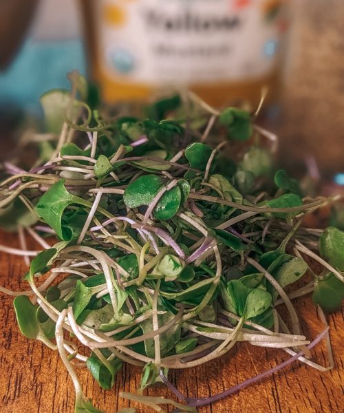 Microgreens for Avocado Toast