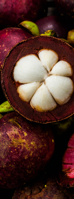 Mangosteen a healthy, nutrient and vitamin packed fruit