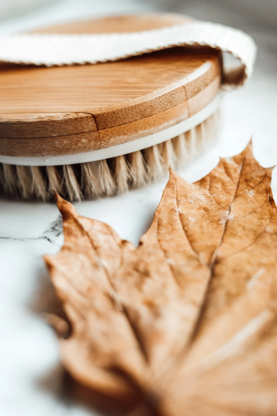 a round dry brush for using in a body care routine