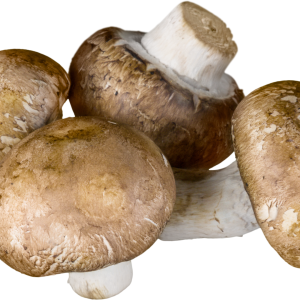 Mushrooms for Hungarian Mushroom Soup